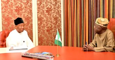 President Bola Tinubu & Dr. Lemon Ikpea